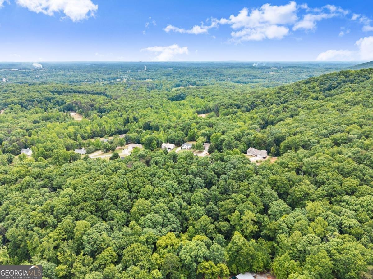 652 Shadow Mountain Lane Cleveland - Photo 48