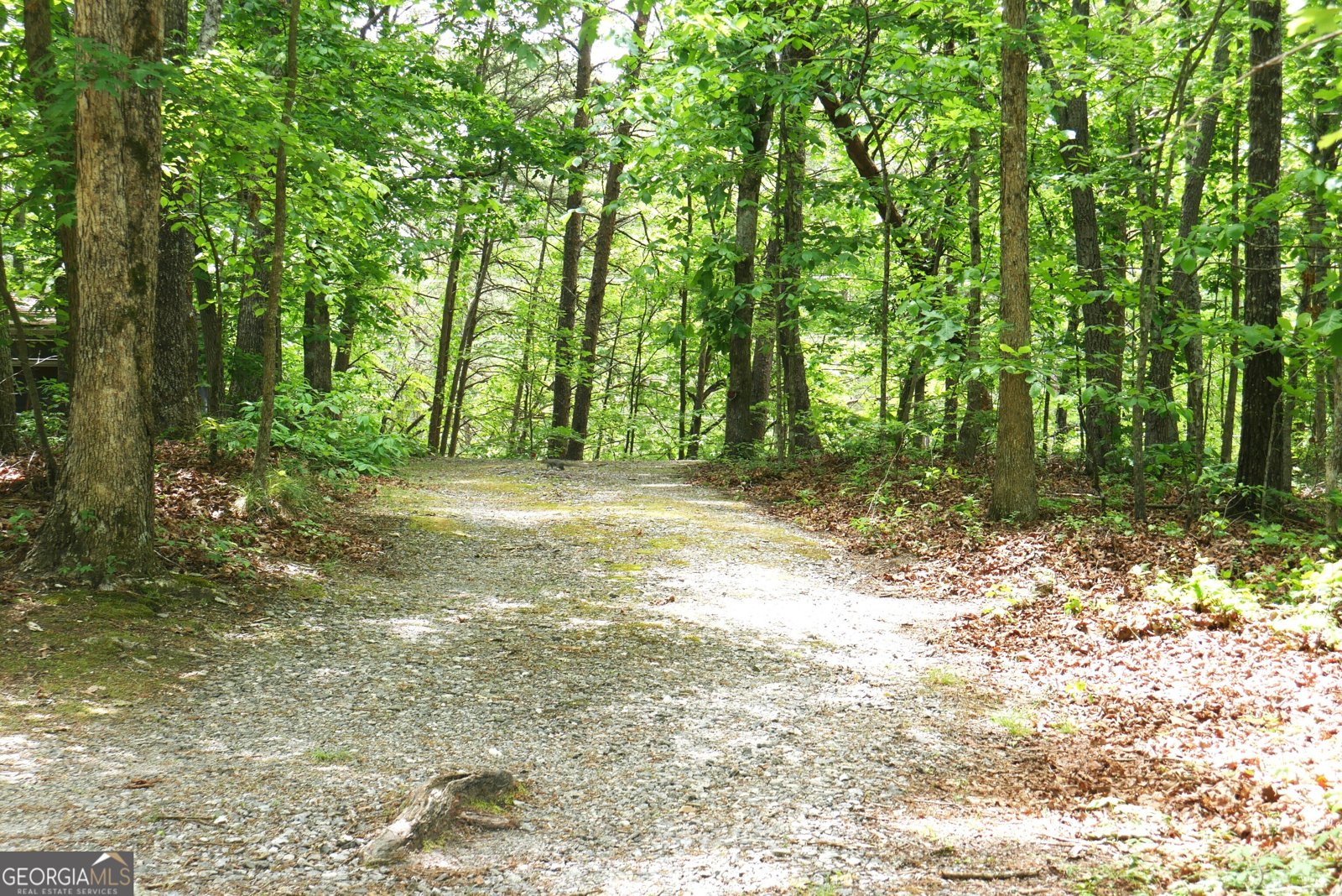 24 Lake Laurel Drive Dahlonega - Photo 13