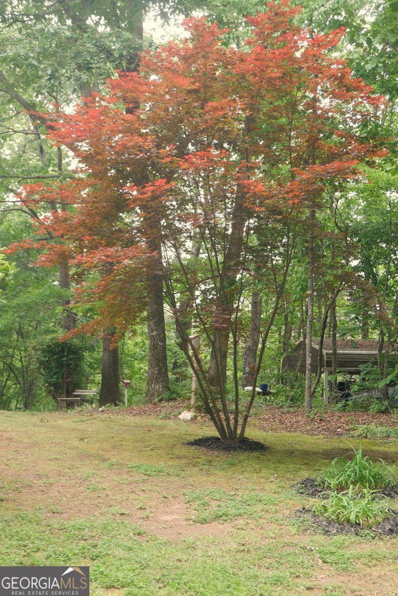 24 Lake Laurel Drive Dahlonega - Photo 16
