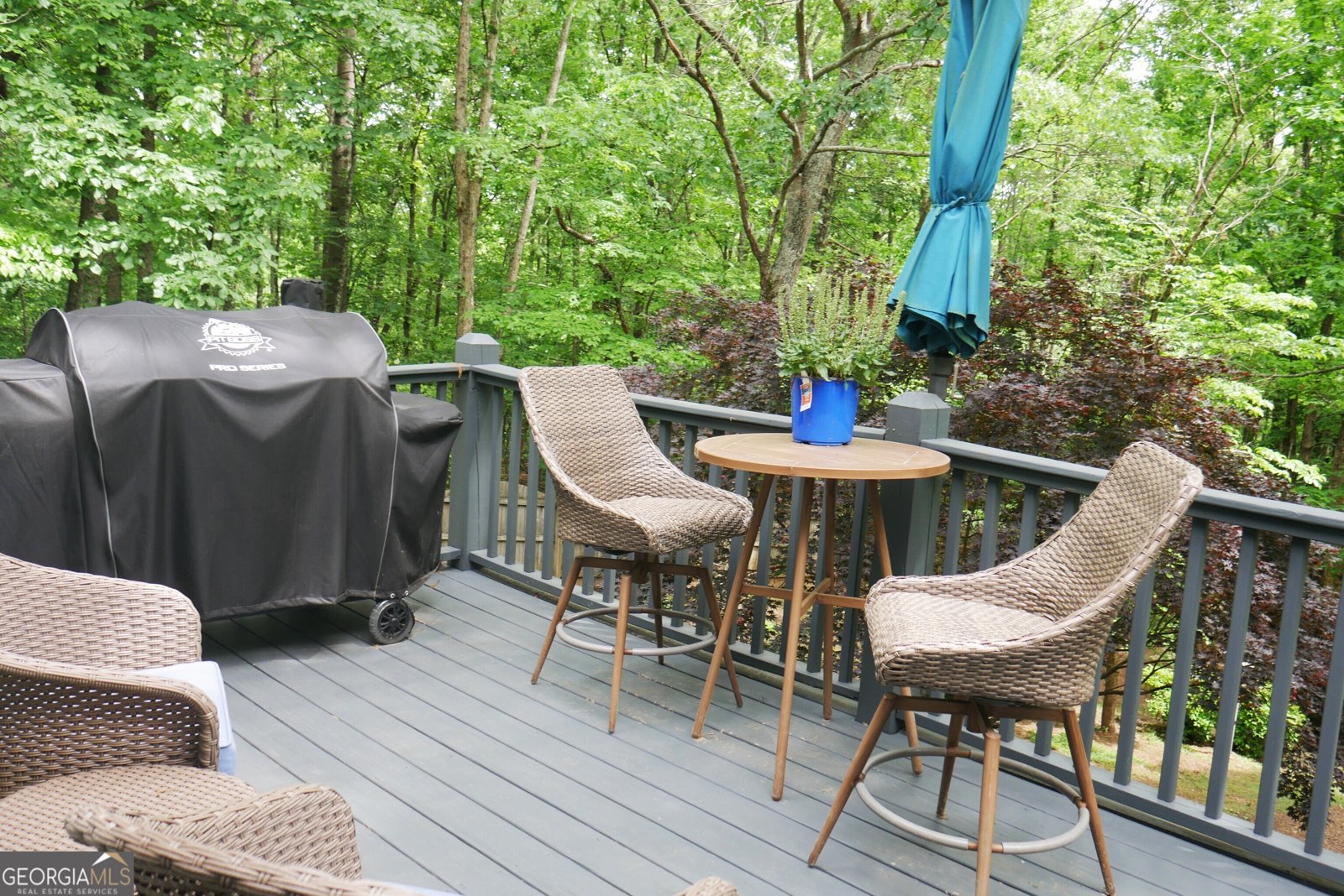 24 Lake Laurel Drive Dahlonega - Photo 68