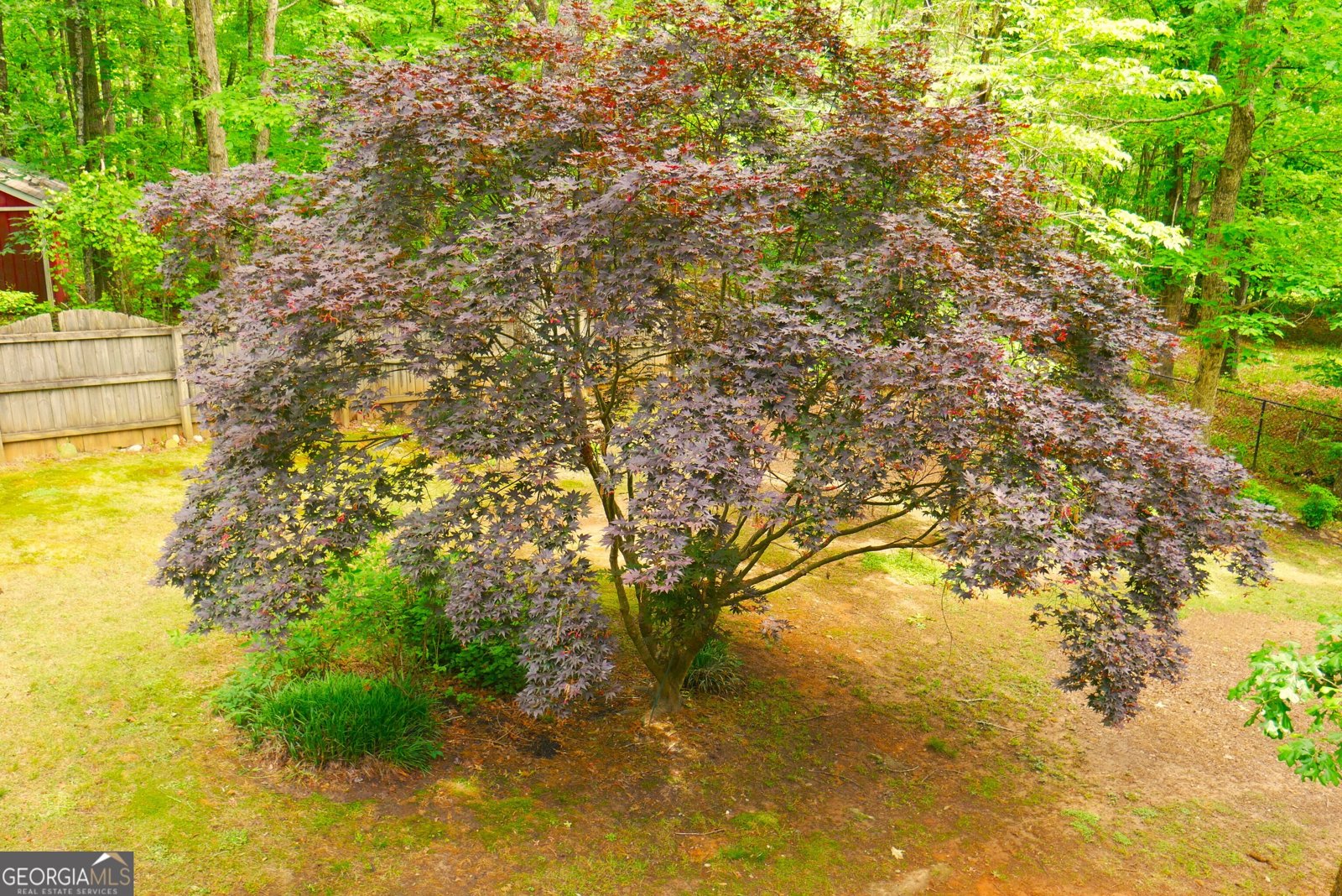 24 Lake Laurel Drive Dahlonega - Photo 73