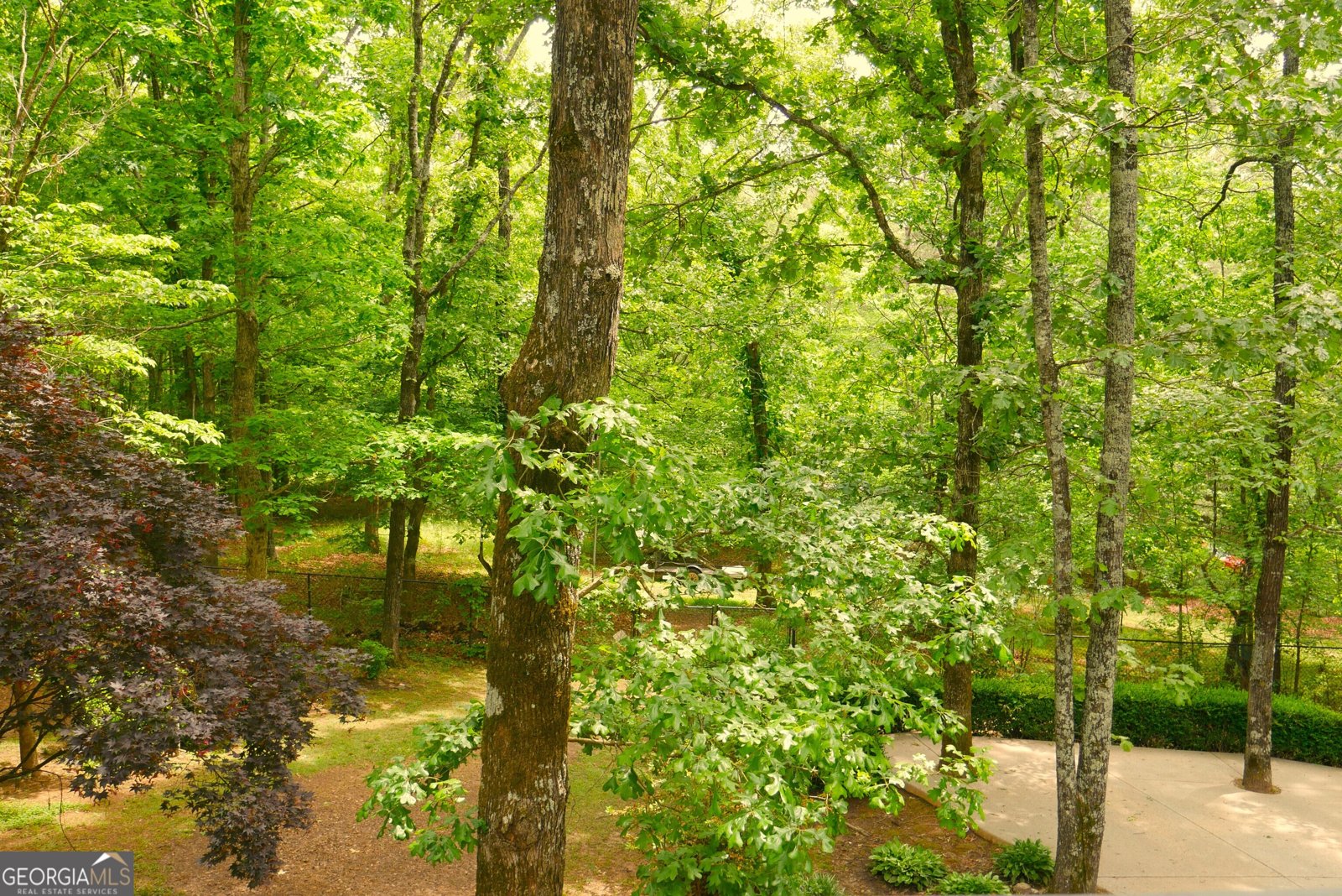 24 Lake Laurel Drive Dahlonega - Photo 75