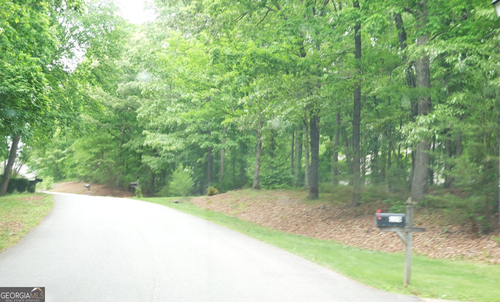 24 Lake Laurel Drive Dahlonega - Photo 81