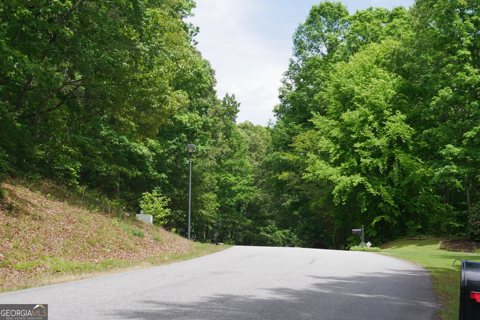 24 Lake Laurel Drive Dahlonega - Photo 83