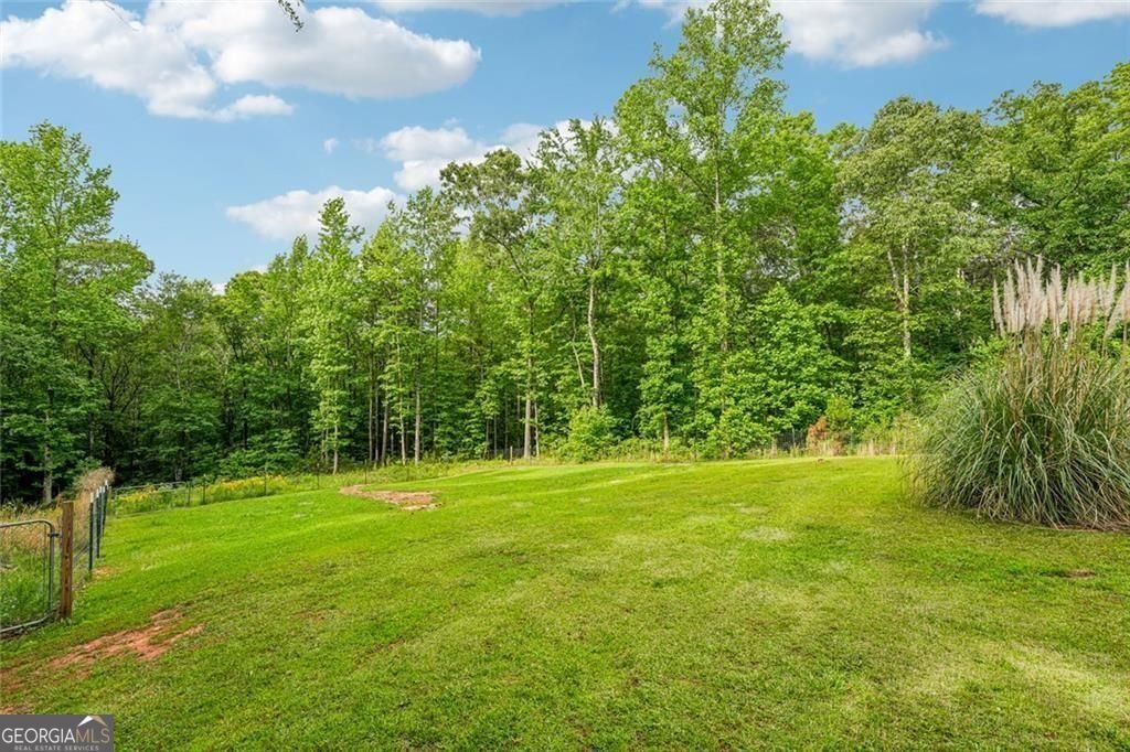 8137 Jenkins Road Winston - Photo 53