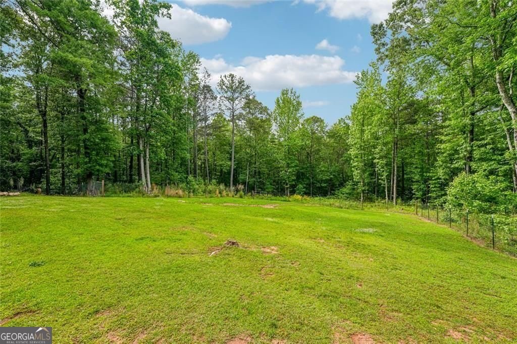 8137 Jenkins Road Winston - Photo 54