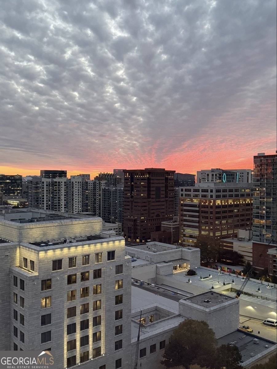 1080 Peachtree Street Atlanta - Photo 14