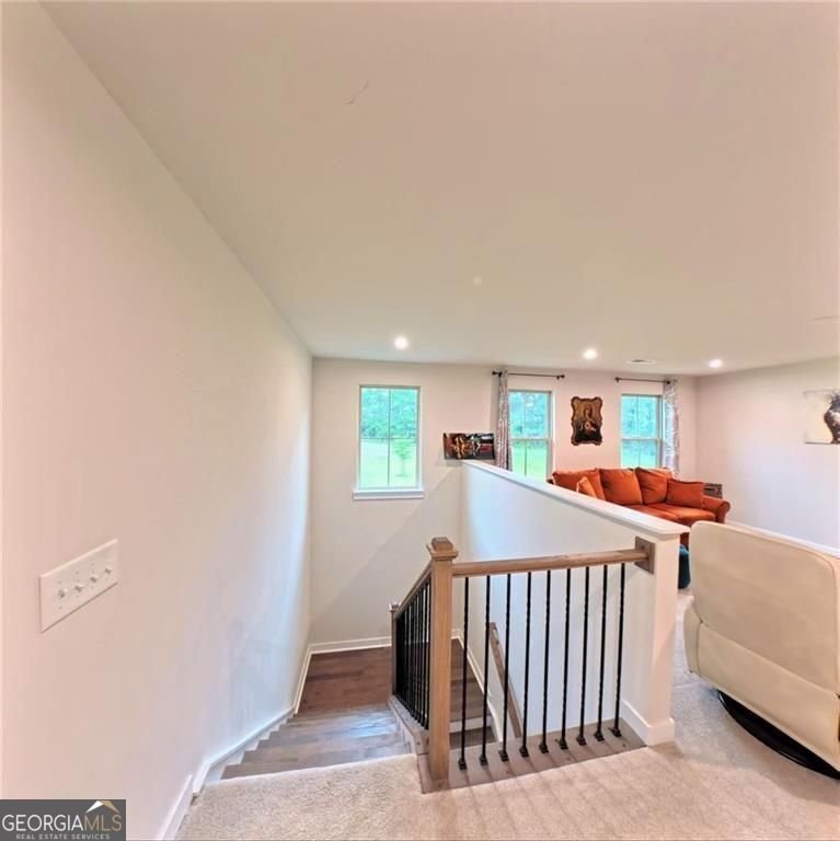 443 Daffodil Lane McDonough - Photo 21