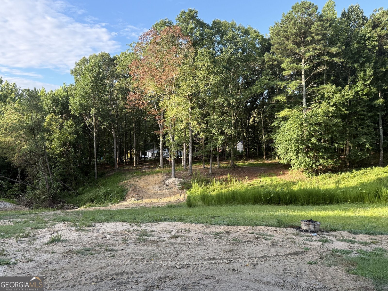 1089 Mitchell Drive Winder - Photo 23