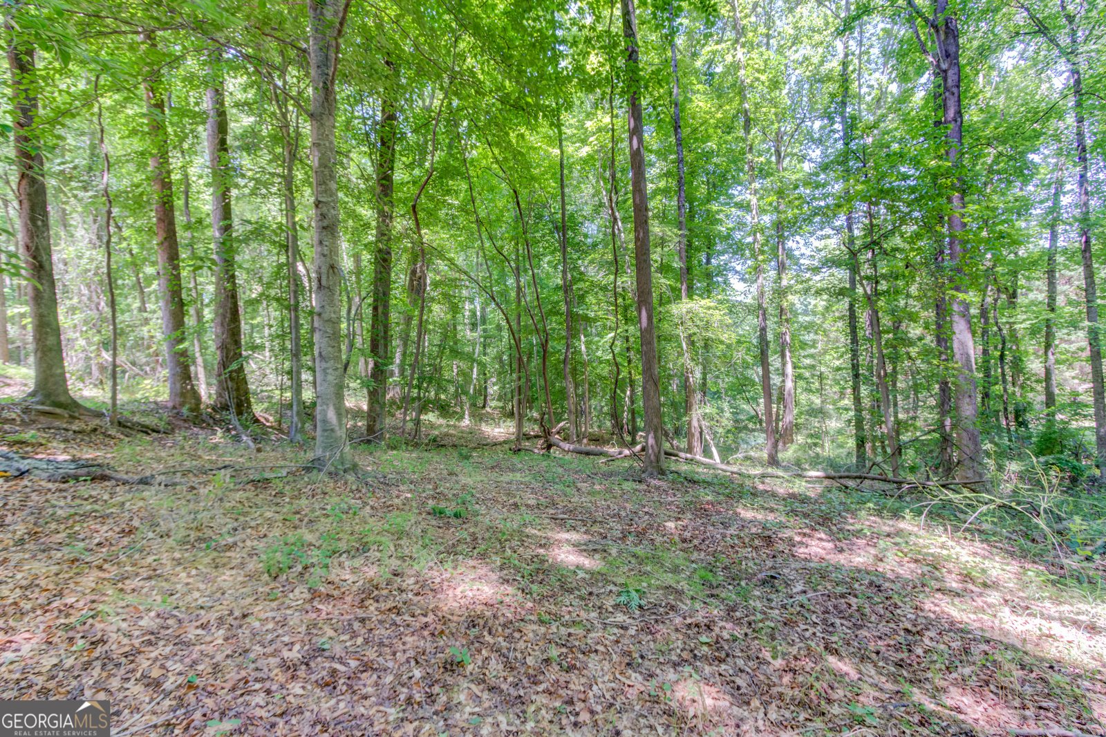 85 Williamson Street Jefferson - Photo 37