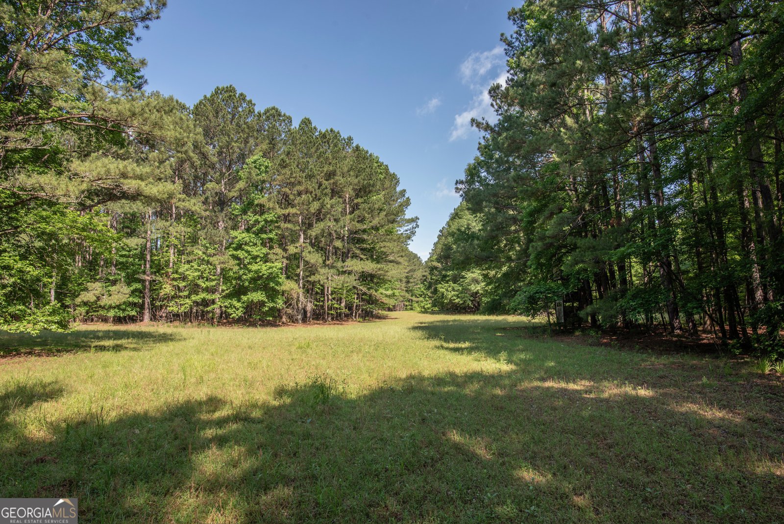 2720 Doster Road Madison - Photo 49