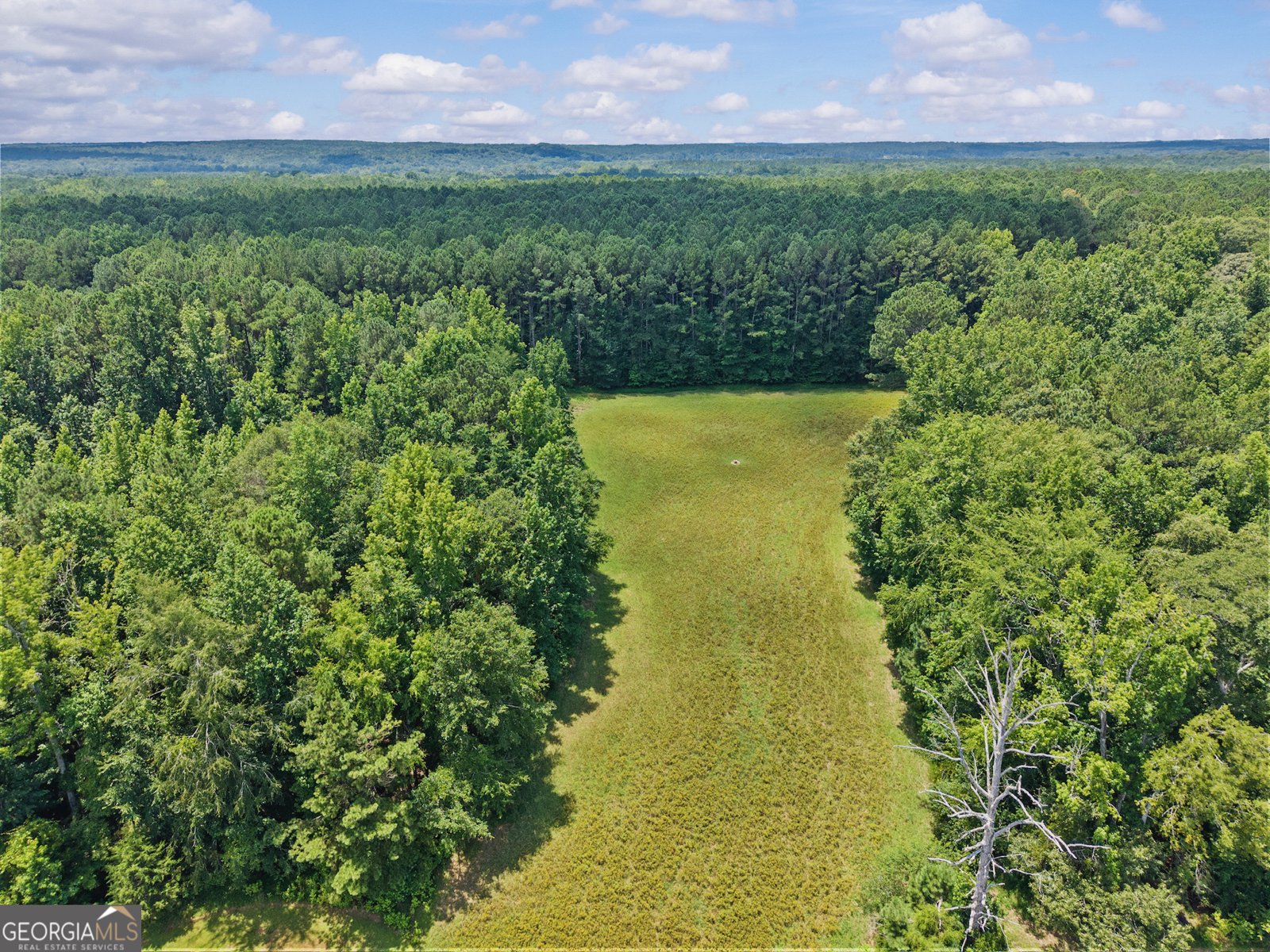 2720 Doster Road Madison - Photo 54