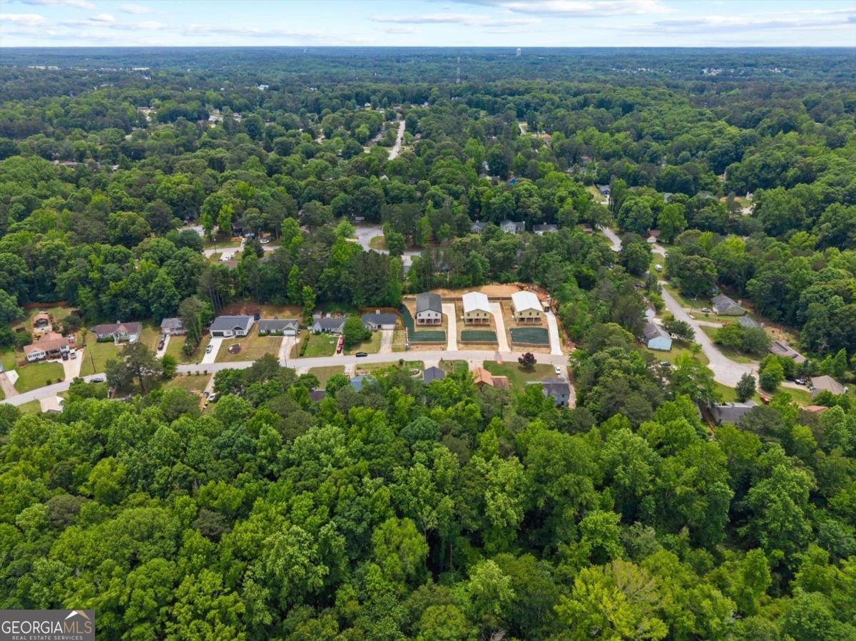6852 Silver Maple Drive Rex - Photo 62