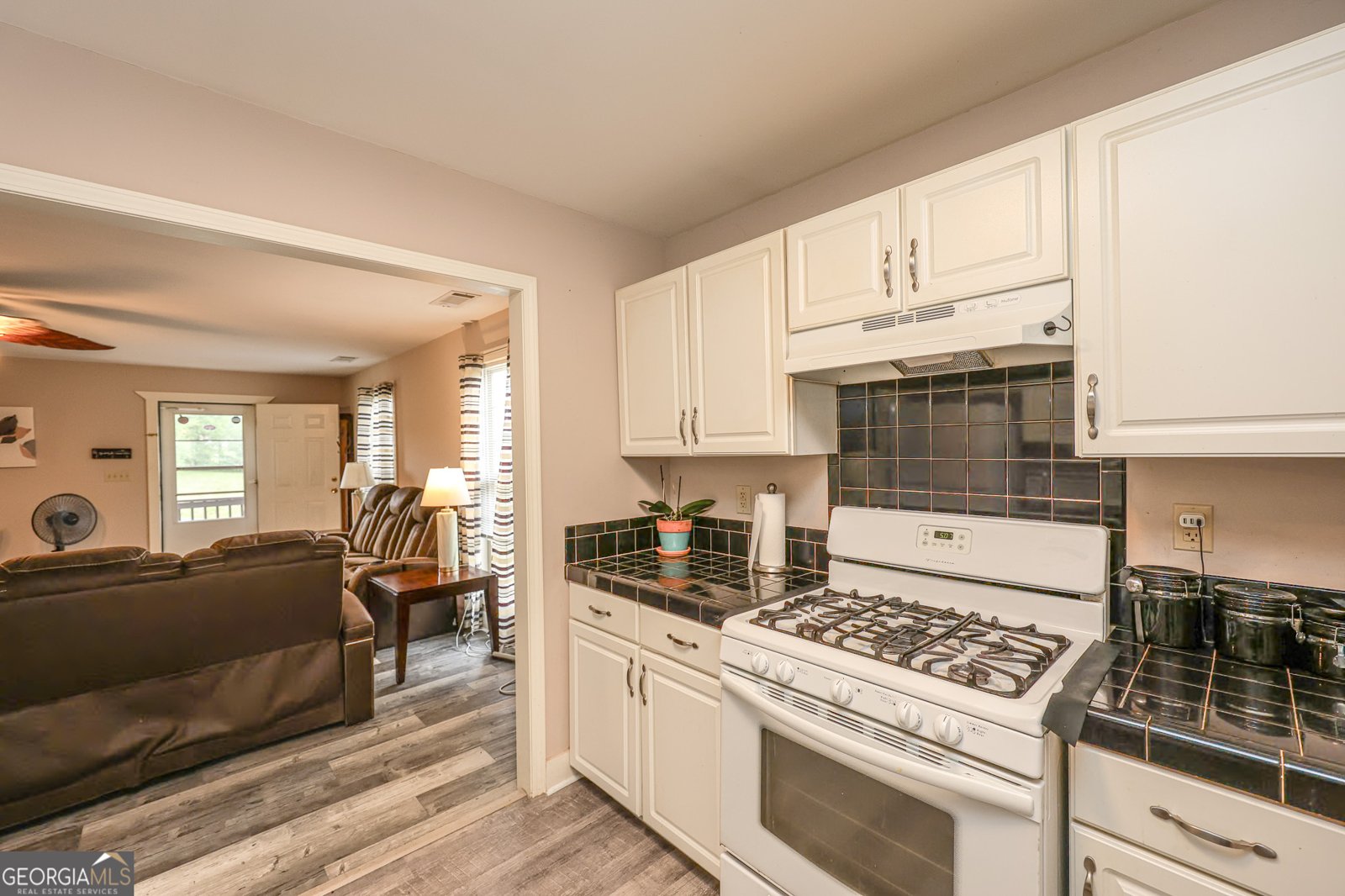 615 Fischer Road Sharpsburg - Photo 71