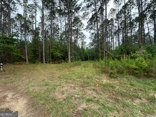 3115 Deer Run Road Statesboro - Photo 10