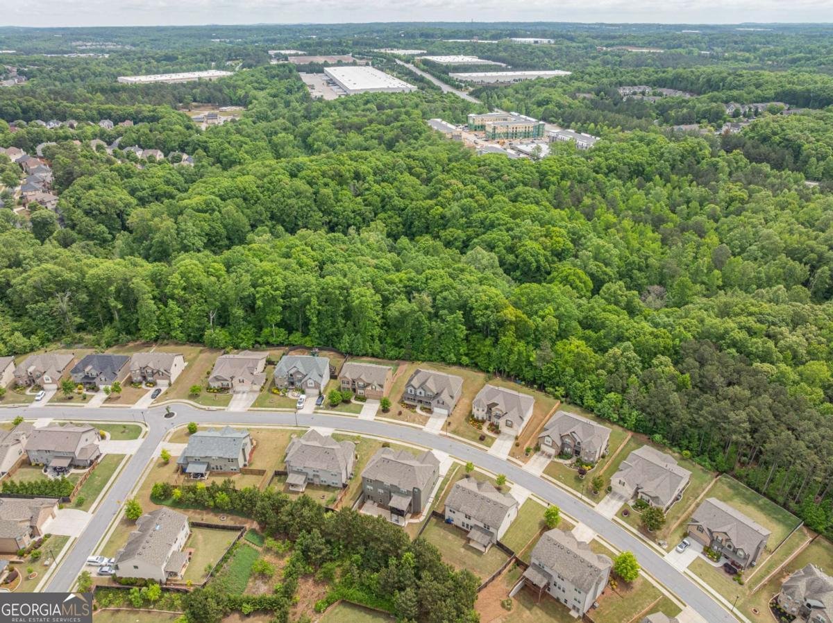 3948 Two Bridge Drive Buford - Photo 59