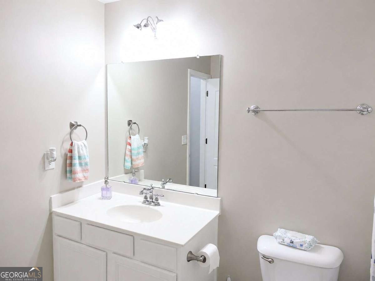 4315 Buford Valley Way Buford - Photo 39