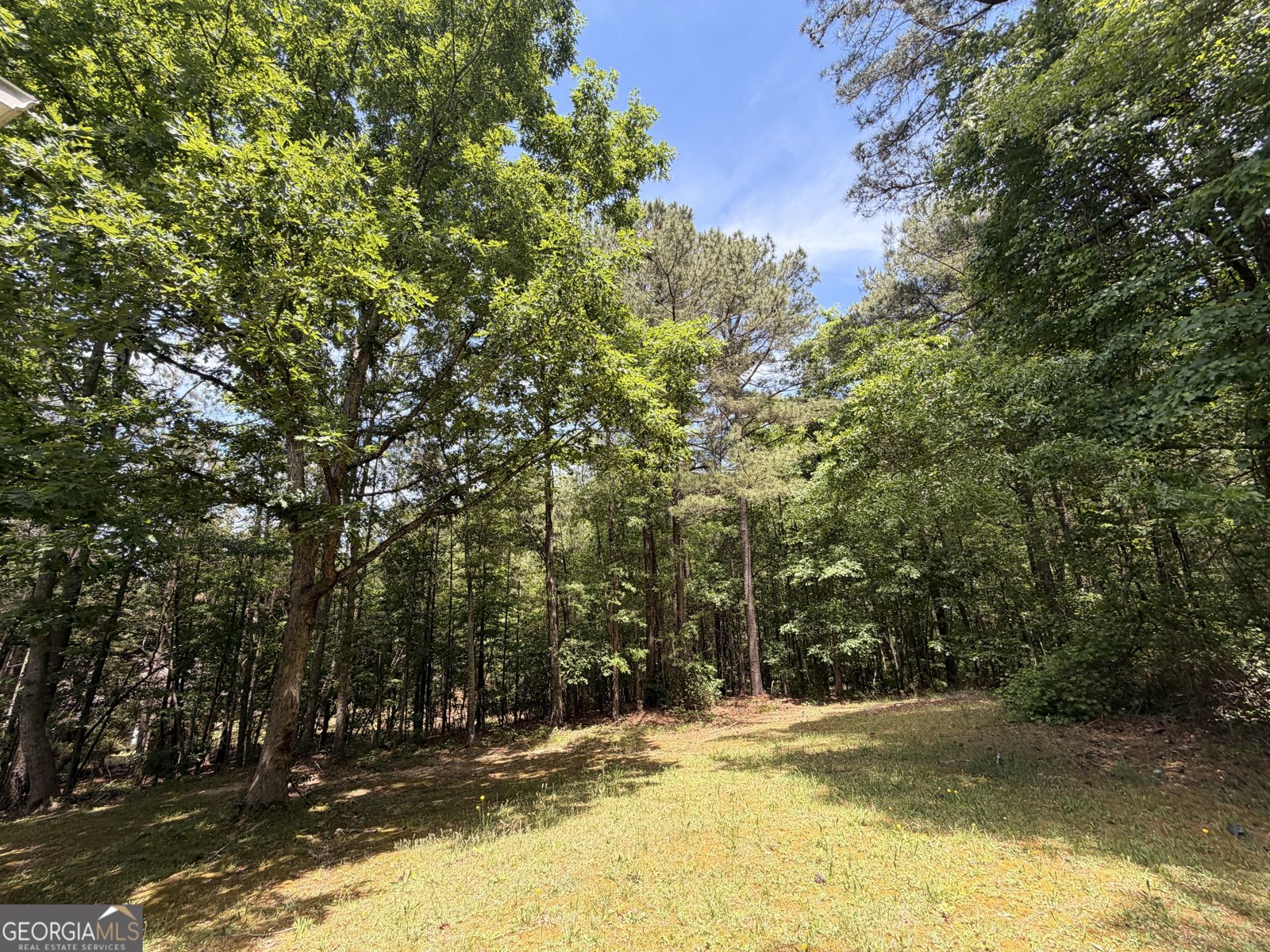 3241 Victoria Place Drive Loganville - Photo 18