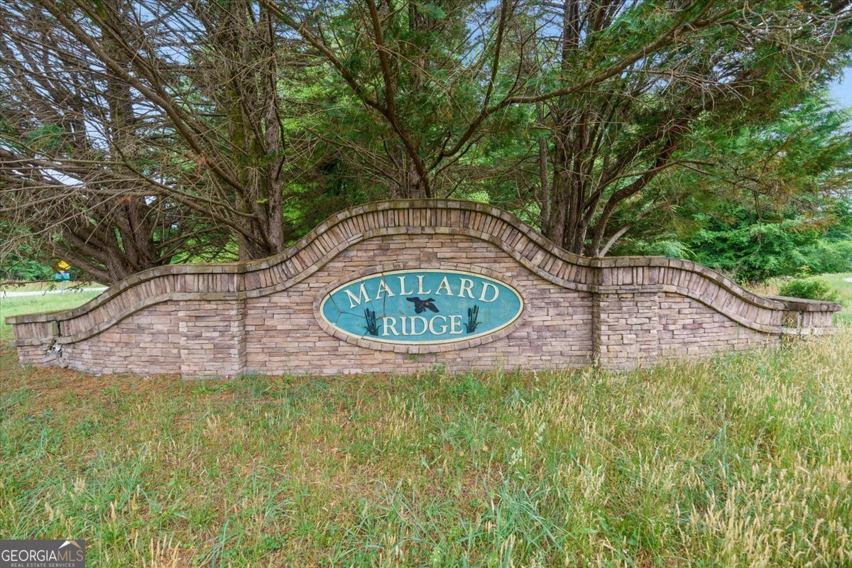 1050 Pintail Lane Madison - Photo 45