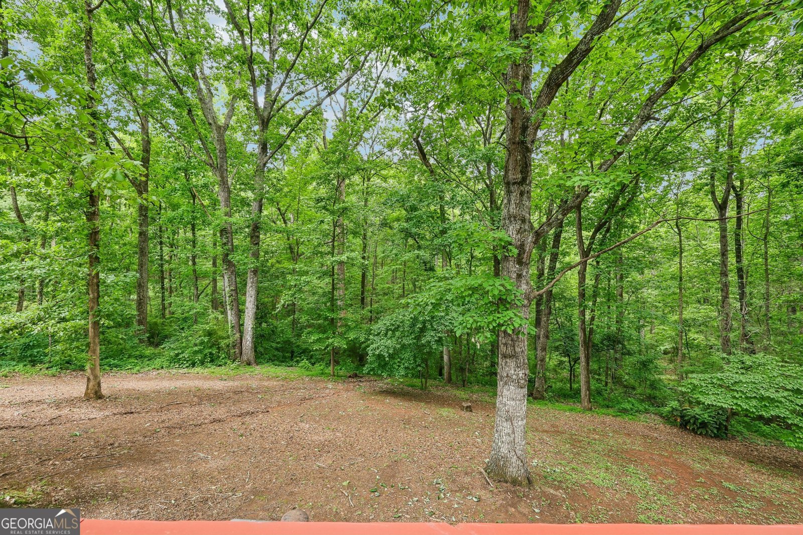 232 Miles Road Carrollton - Photo 45