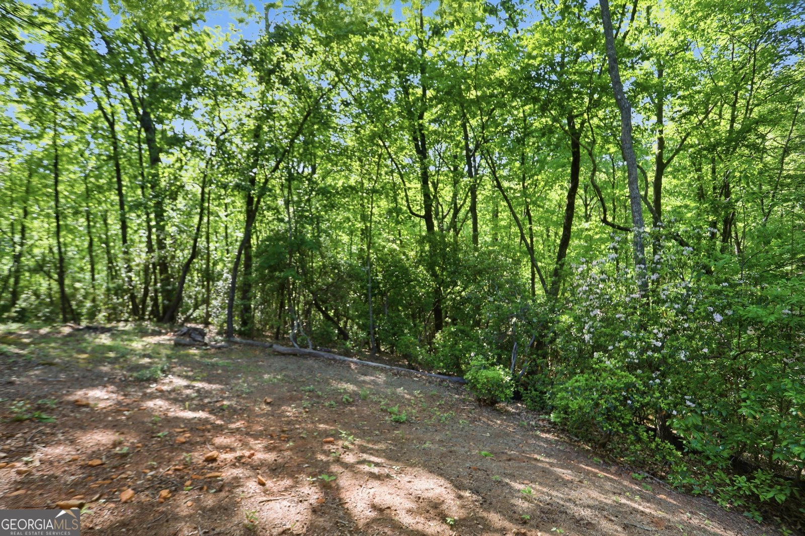 702 Ranch Mountain Drive Dahlonega - Photo 34