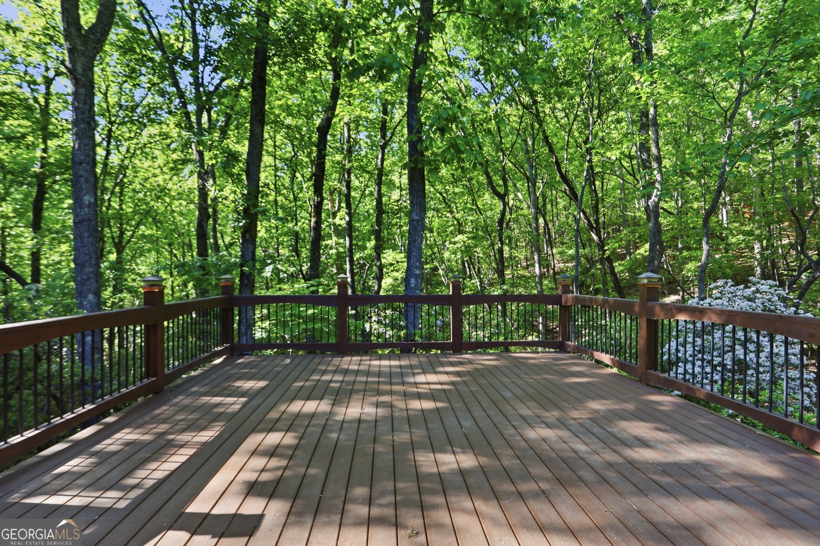 702 Ranch Mountain Drive Dahlonega - Photo 35
