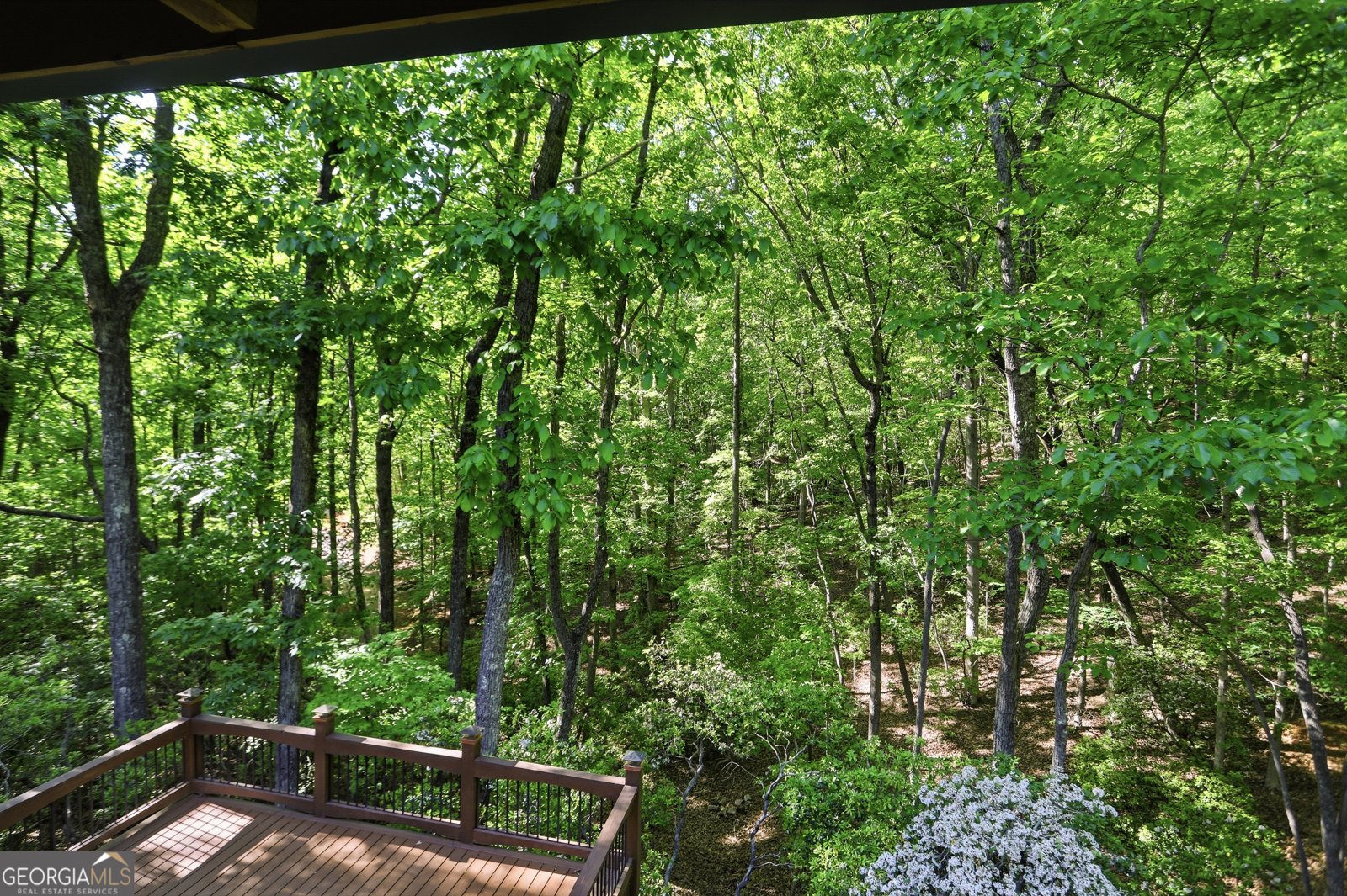 702 Ranch Mountain Drive Dahlonega - Photo 36