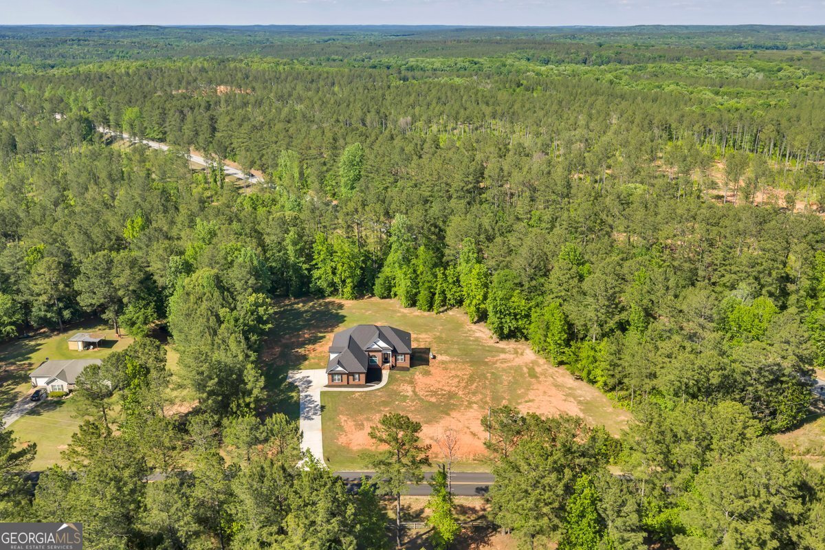 2594 Lassiter Road Forsyth - Photo 28