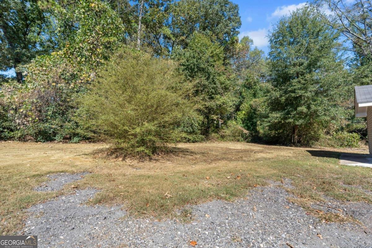 5415 Old Bill Cook Road College Park - Photo 31