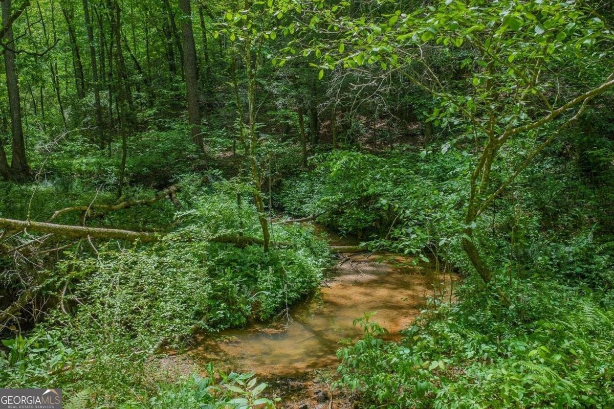 153 January Lane Ellijay - Photo 11