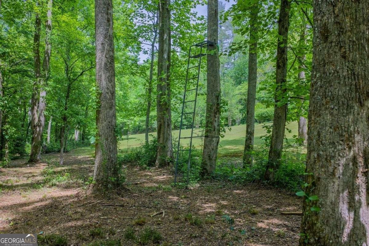 153 January Lane Ellijay - Photo 13