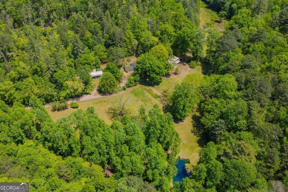 153 January Lane Ellijay - Photo 40