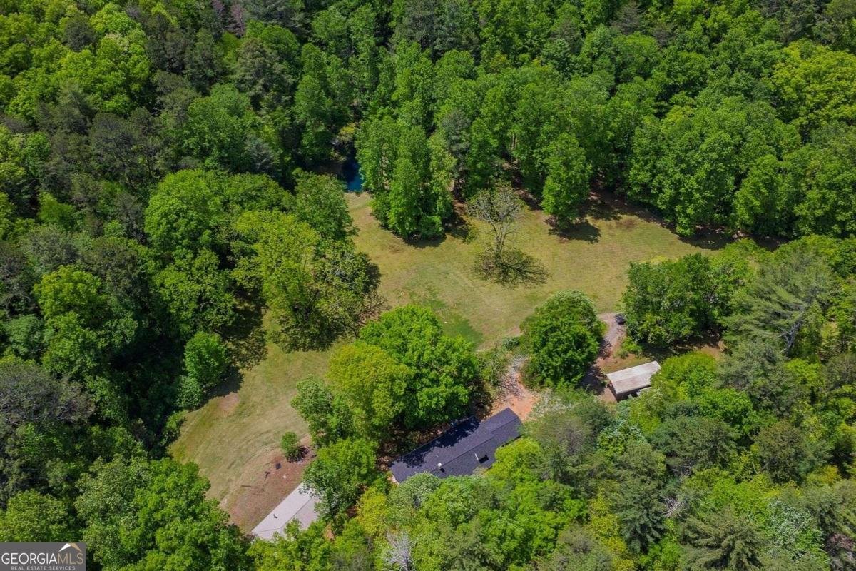 153 January Lane Ellijay - Photo 41