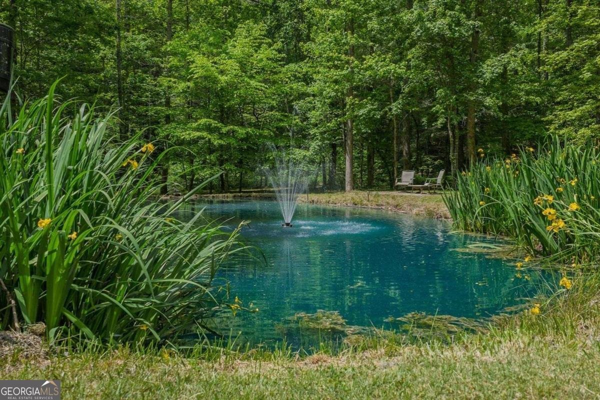 153 January Lane Ellijay - Photo 42