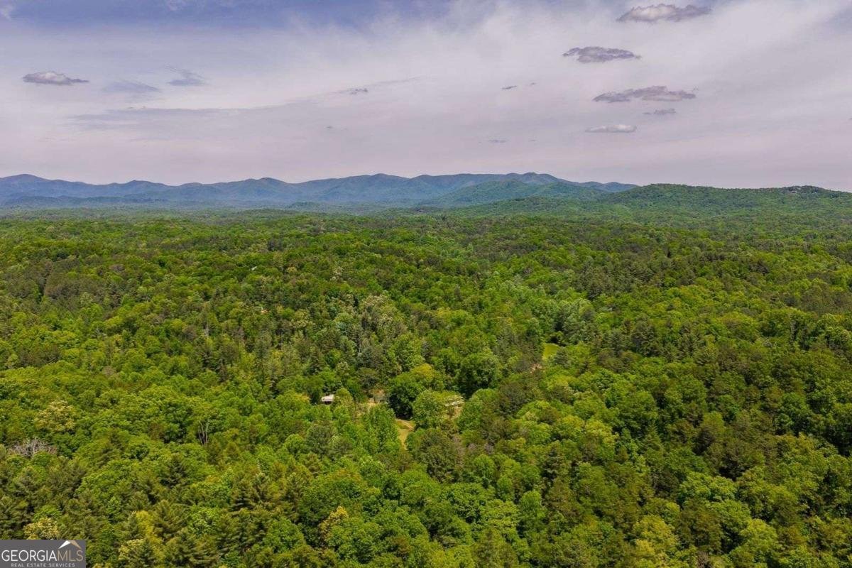 153 January Lane Ellijay - Photo 44