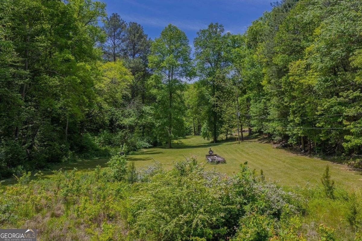 153 January Lane Ellijay - Photo 45
