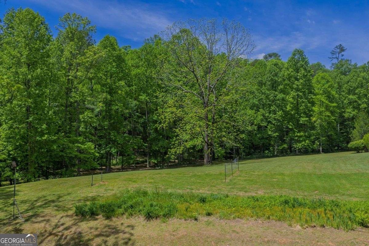 153 January Lane Ellijay - Photo 46