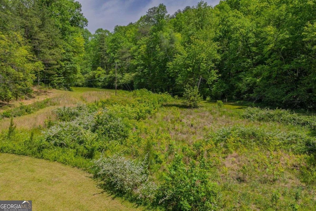 153 January Lane Ellijay - Photo 47