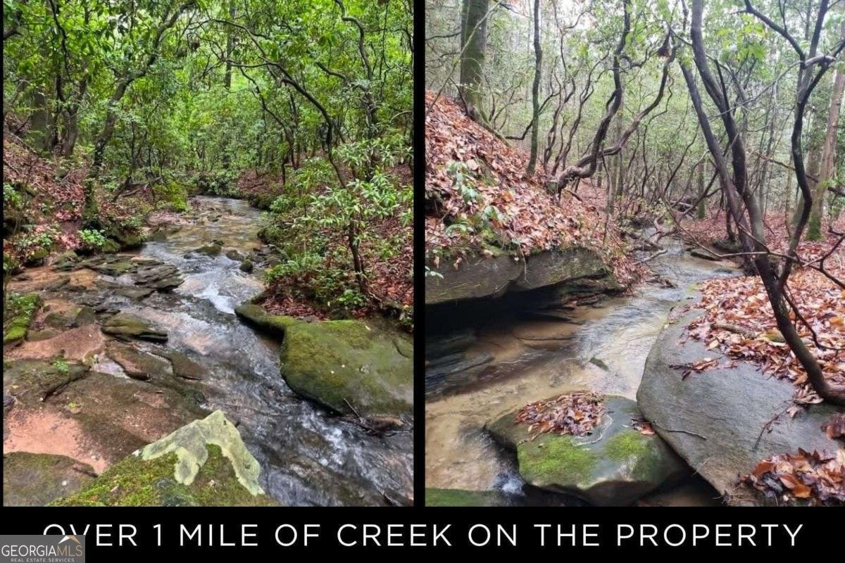 153 January Lane Ellijay - Photo 48