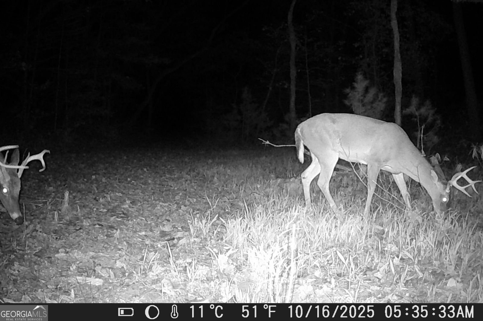 153 January Lane Ellijay - Photo 55