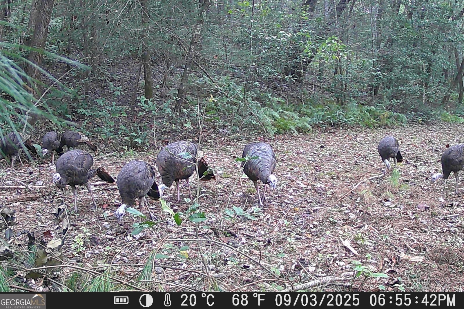 153 January Lane Ellijay - Photo 56
