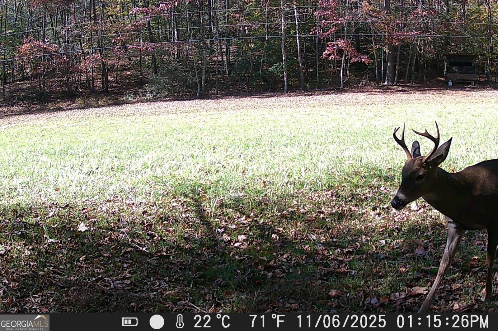 153 January Lane Ellijay - Photo 57