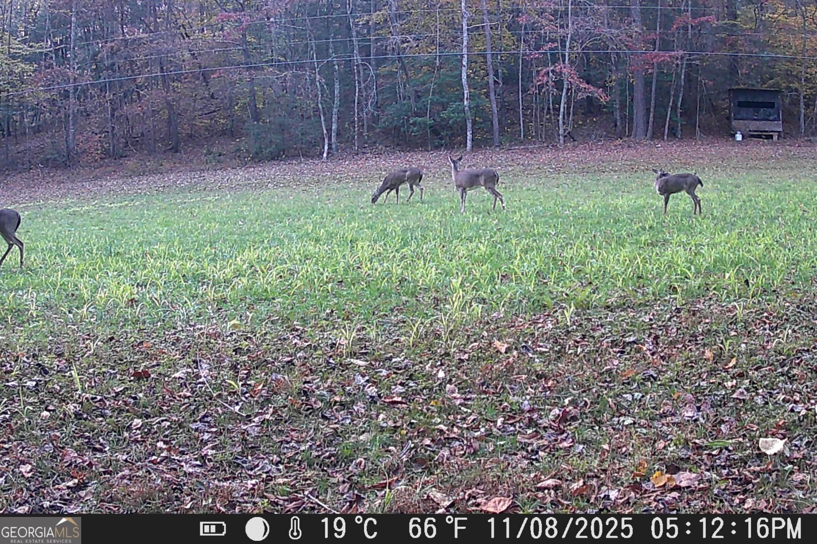 153 January Lane Ellijay - Photo 58