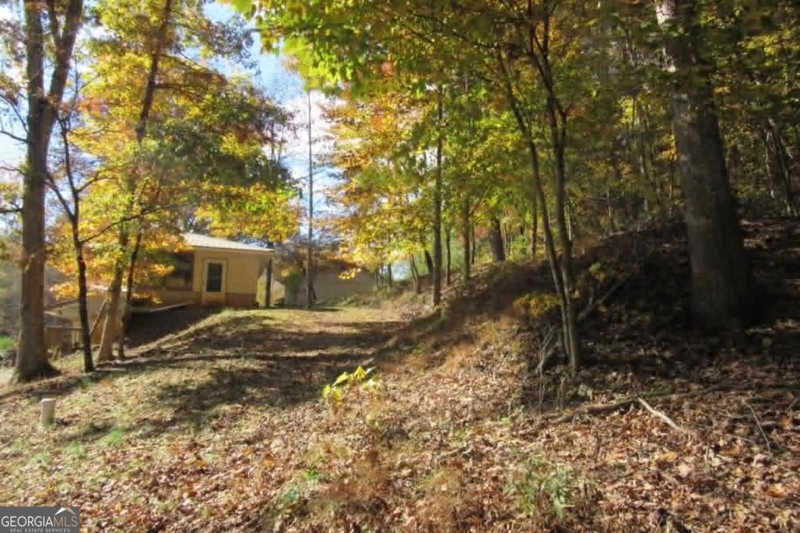 153 January Lane Ellijay - Photo 61