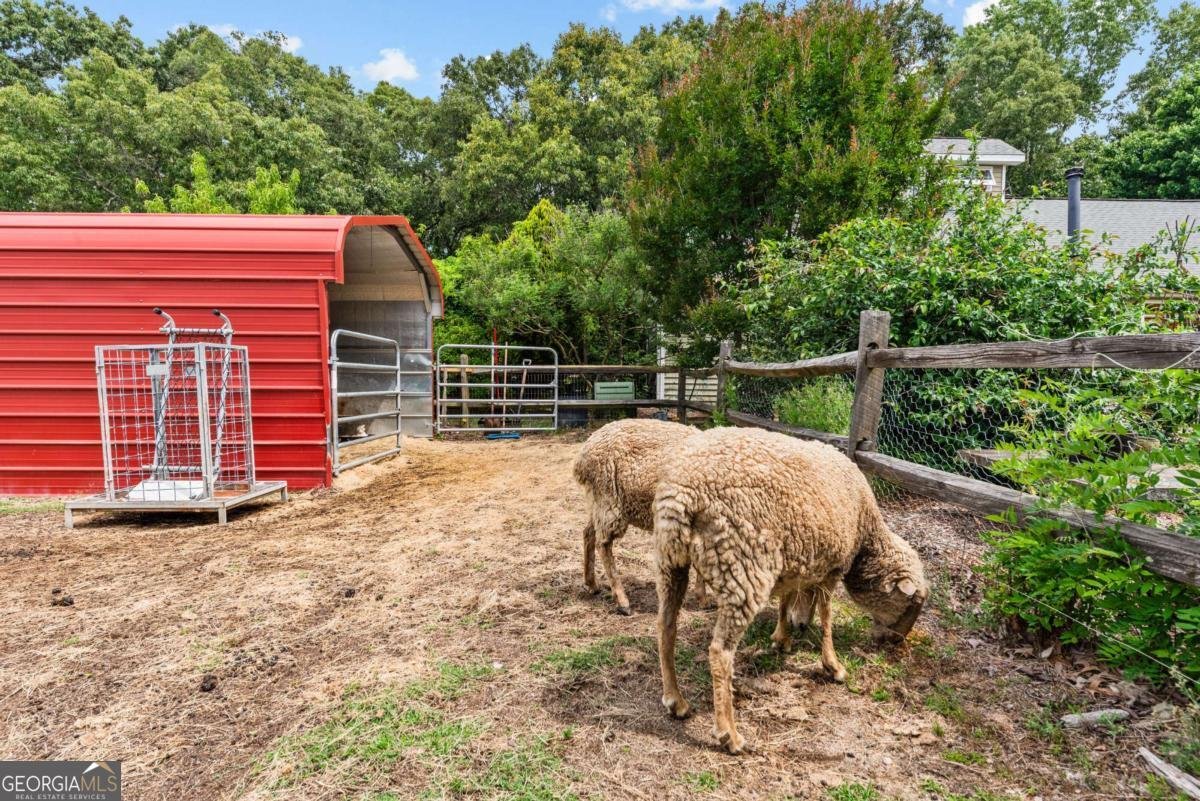 329 Mt Pleasant Church Road Gordon - Photo 52