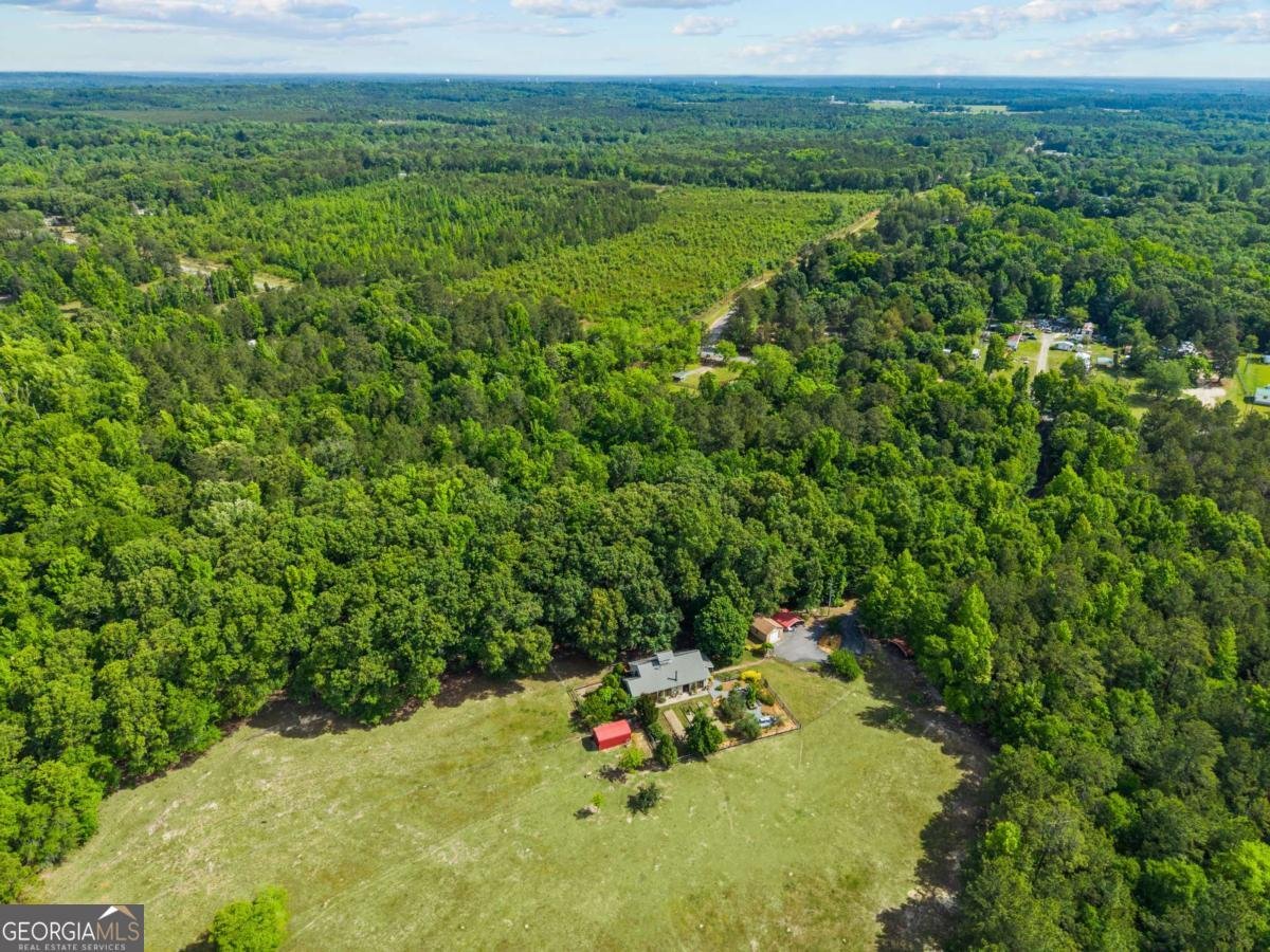 329 Mt Pleasant Church Road Gordon - Photo 53