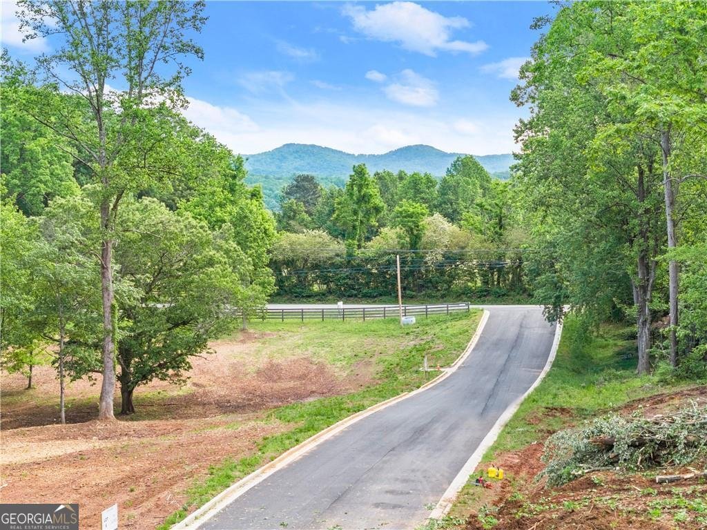75 Lowe Lane Talking Rock - Photo 31