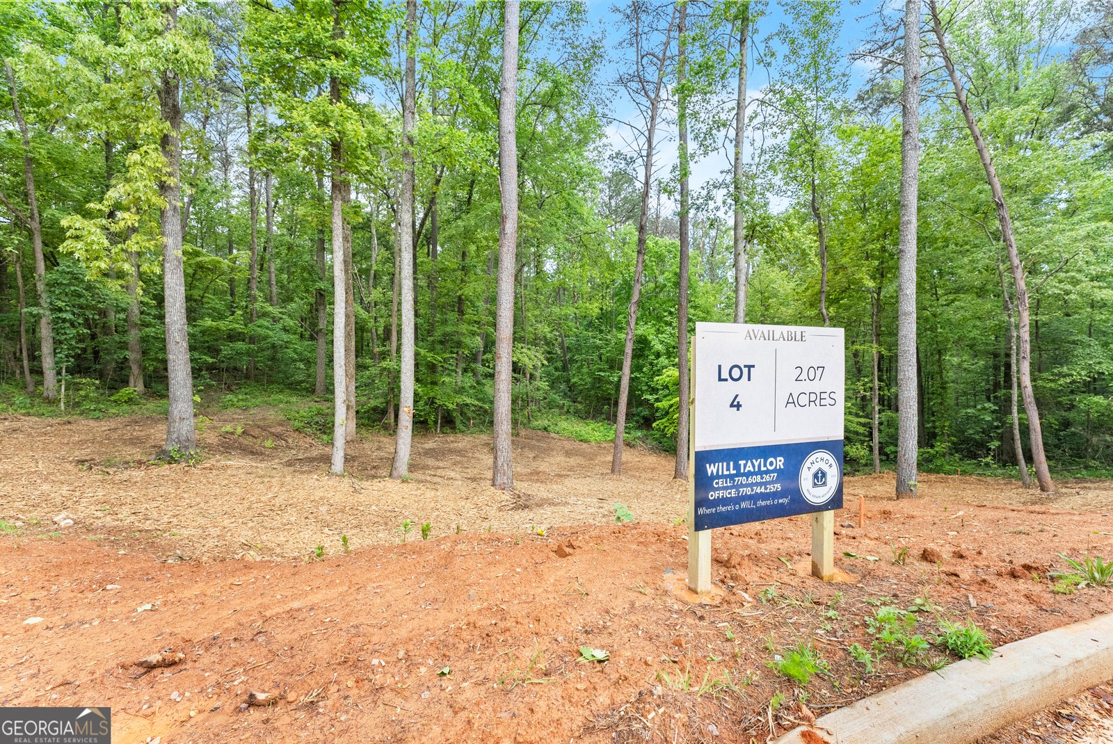 LOT 4 Lowe Lane Talking Rock - Photo 11