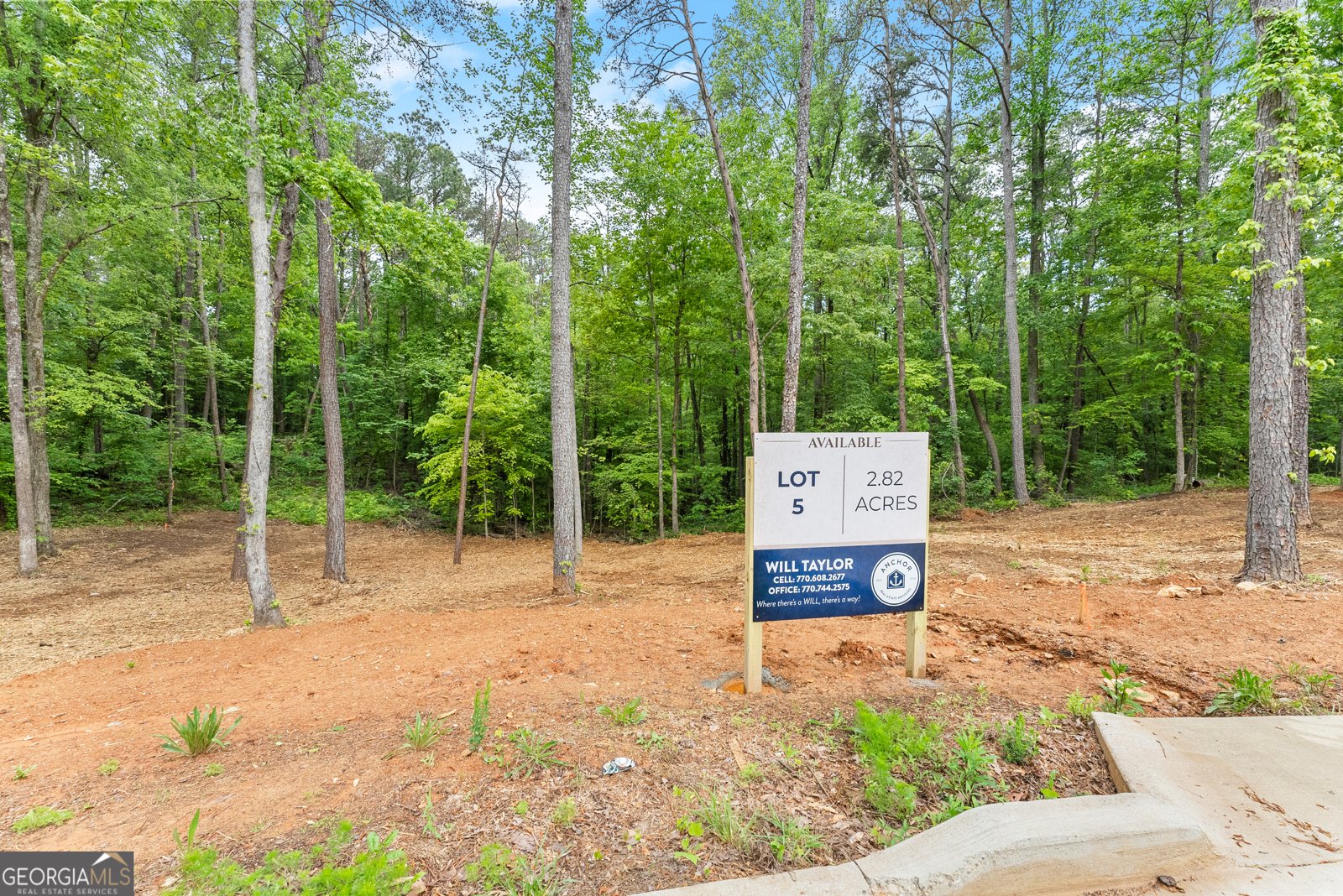 LOT 5 Lowe Lane Talking Rock - Photo 11