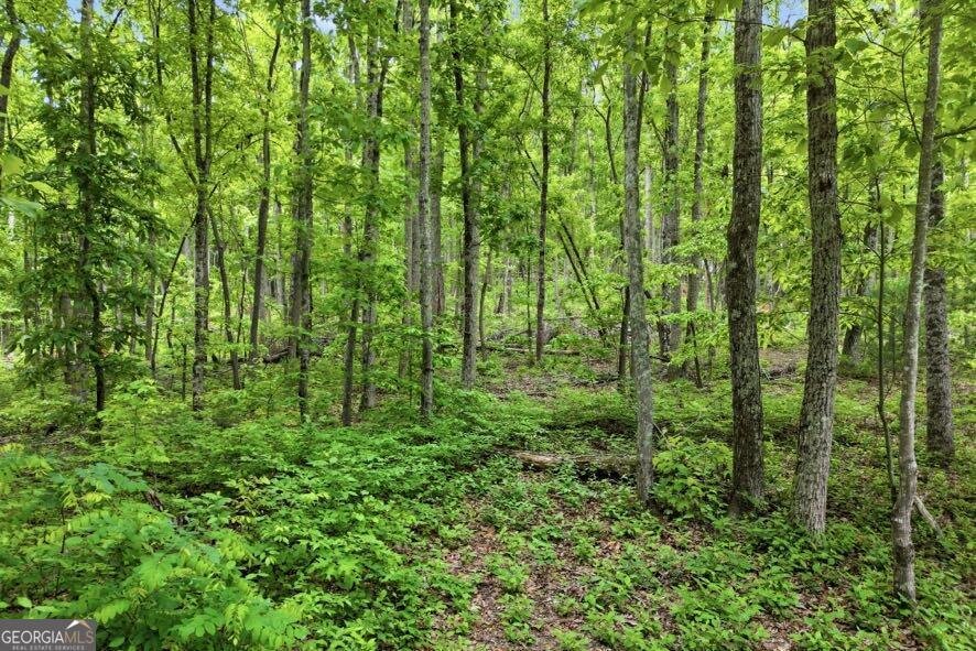 30 Tomcyn Lane Ellijay - Photo 10